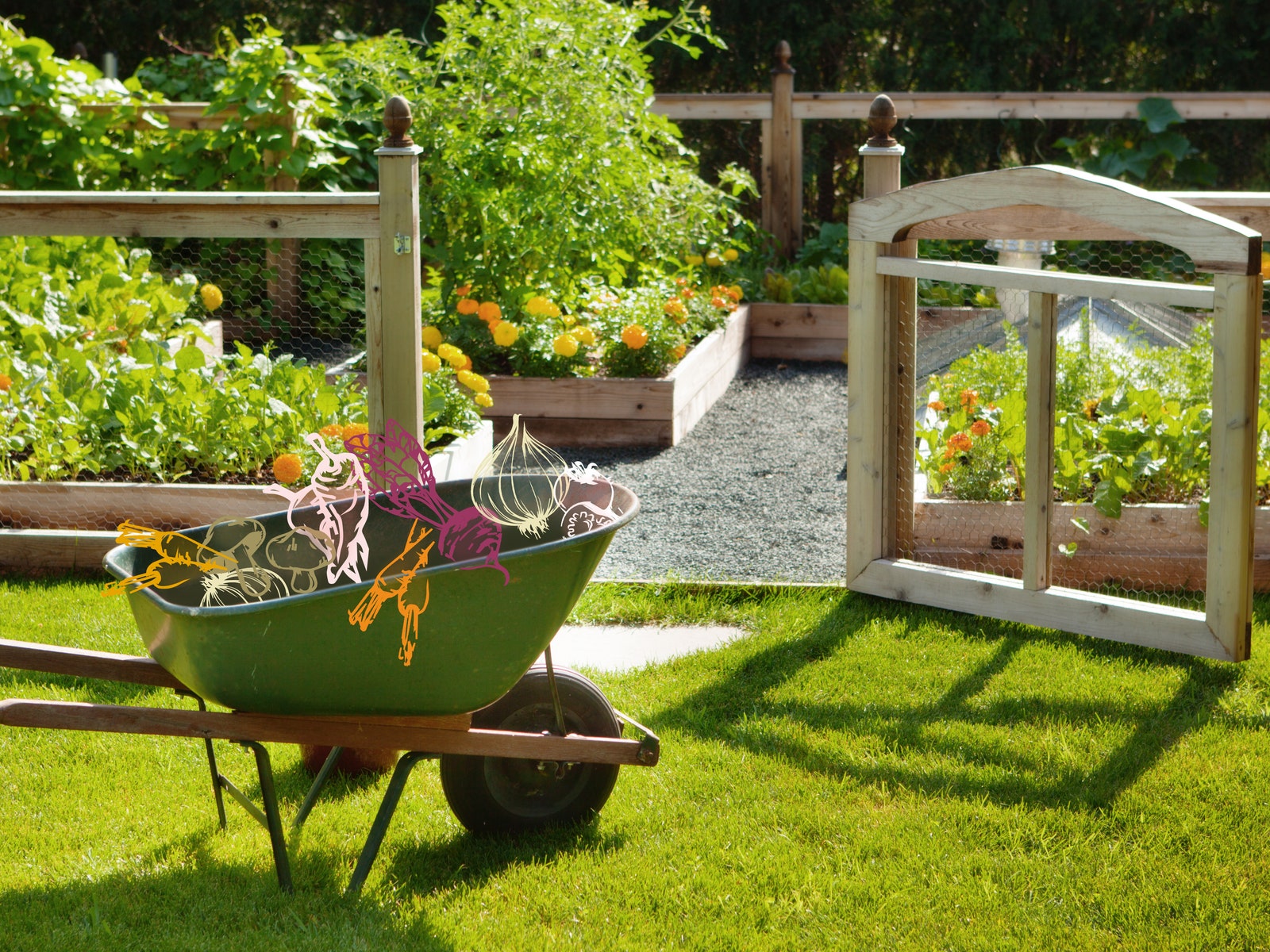 Green thumb or not starting a vegetable garden is easier than you think.