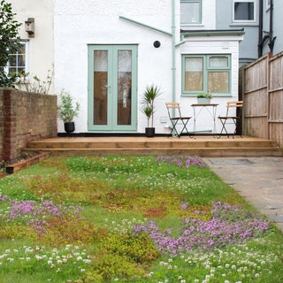 A patchwork tapestry lawn, adorned with clover and creeping thyme, elevate a basic backyard.